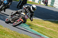 cadwell-park;cadwell-park-photographs;cadwell-trackday-photographs;enduro-digital-images;event-digital-images;eventdigitalimages;peter-wileman-photography;racing-digital-images;trackday-digital-images;trackday-photos
